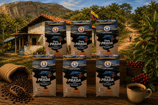 Tinto PRADA, speciality roasted coffee beans - medium dark - 6 pack bundle